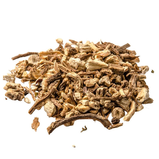 Angelica Root