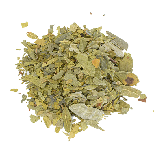Boldo Leaf