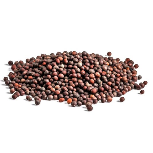 Mustard Seed - Brown