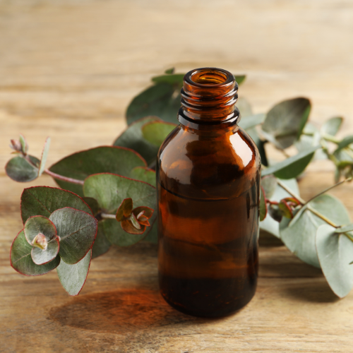 Eucalyptus Essential Oil