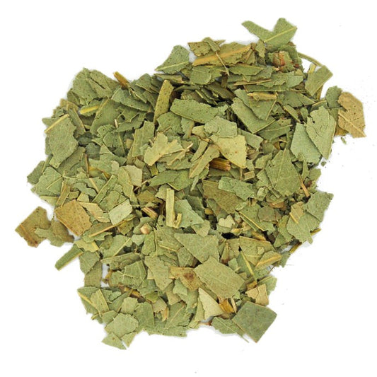 Eucalyptus Leaf