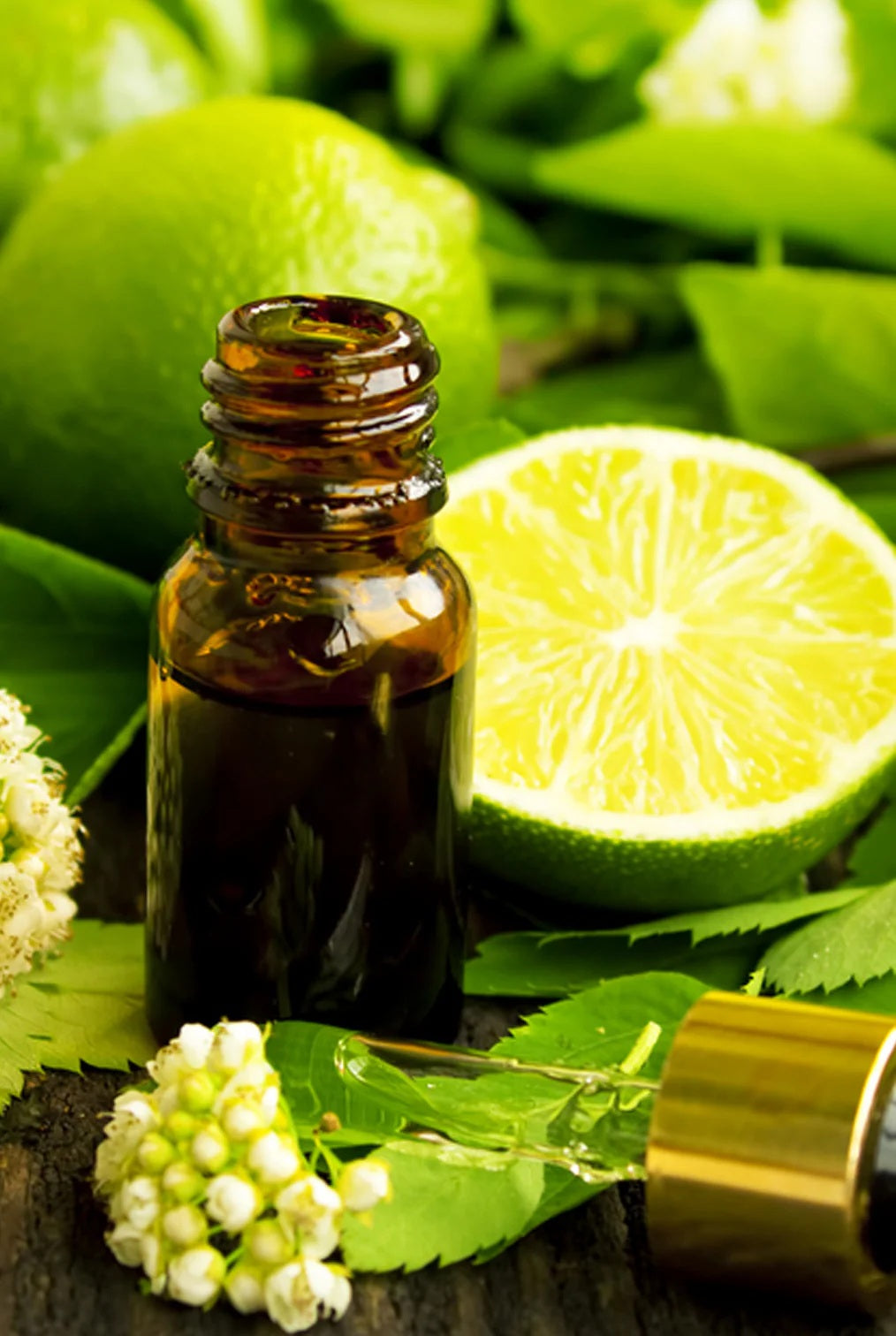 Lime Essential Oil