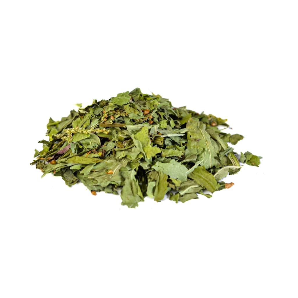 Plantain Leaf