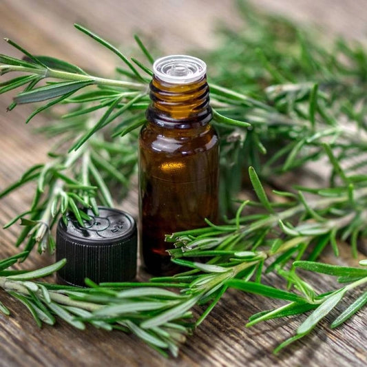 Rosemary Essential Oil