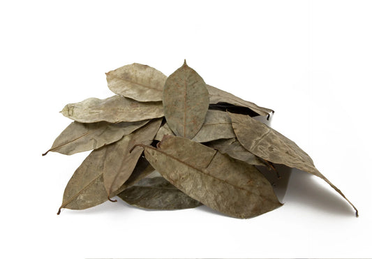 Soursop Leaf