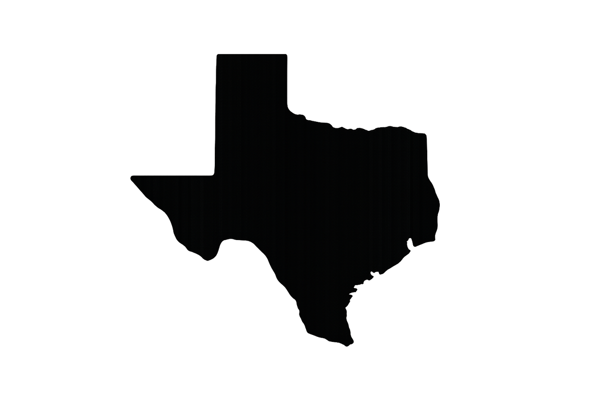 black and white texas icon