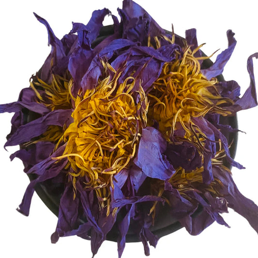 Blue Lotus Flowers
