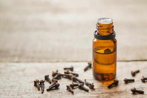Clove Essential Oil