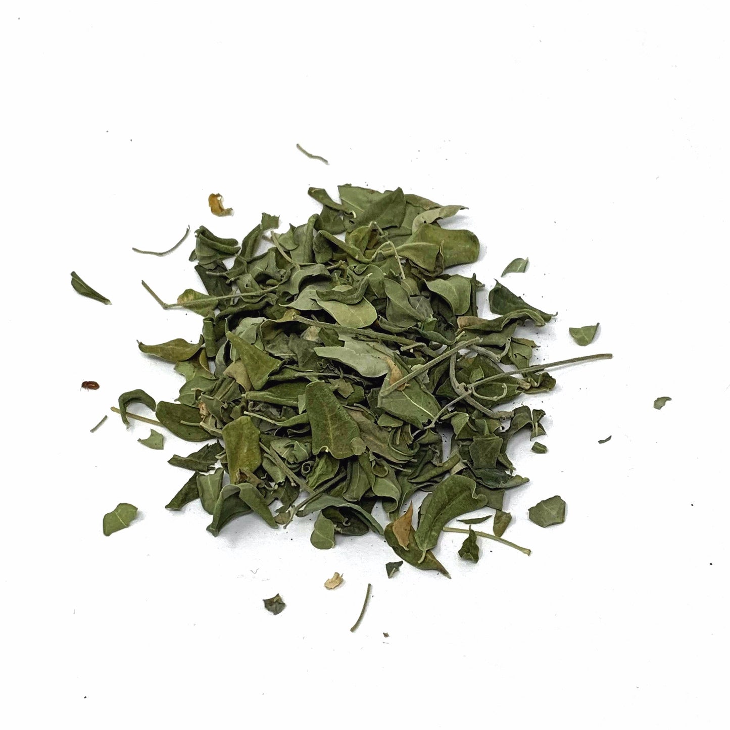 Moringa Leaf