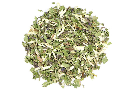 Vervain