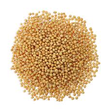 Mustard Seed - Yellow