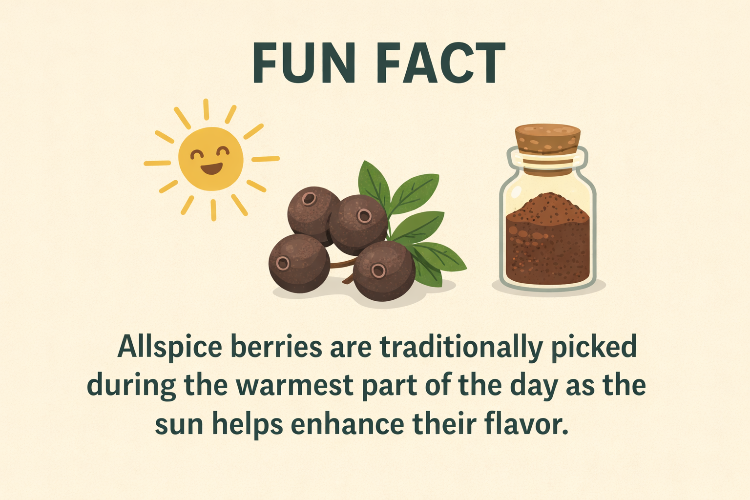Allspice Berries