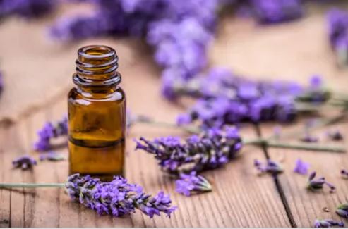 Essential Oil - Lavender 40/42