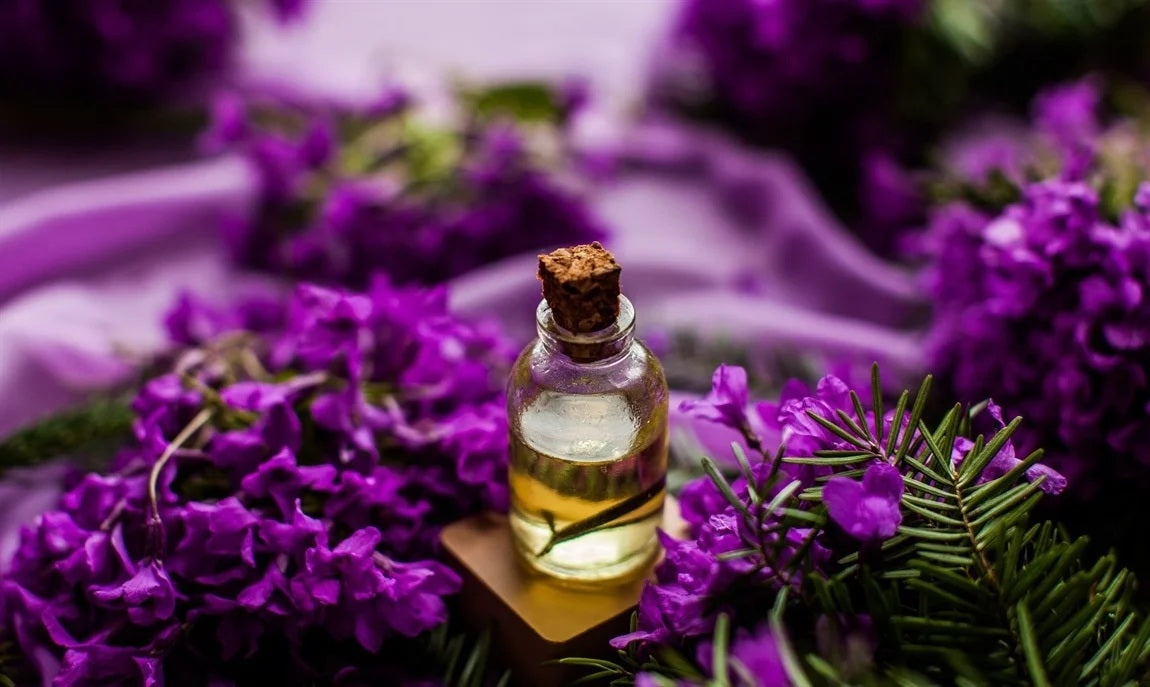 Essential Oil - Lavender