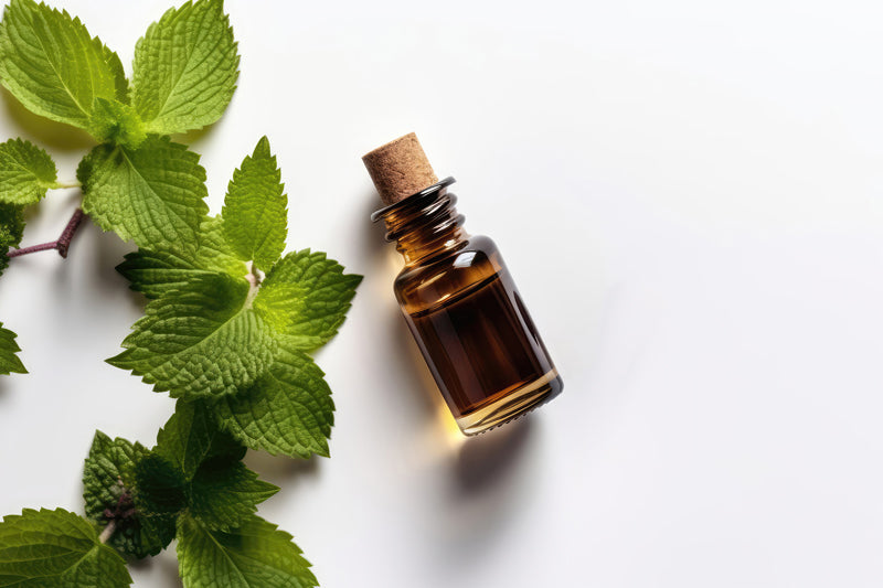 Essential Oil - Patchouli