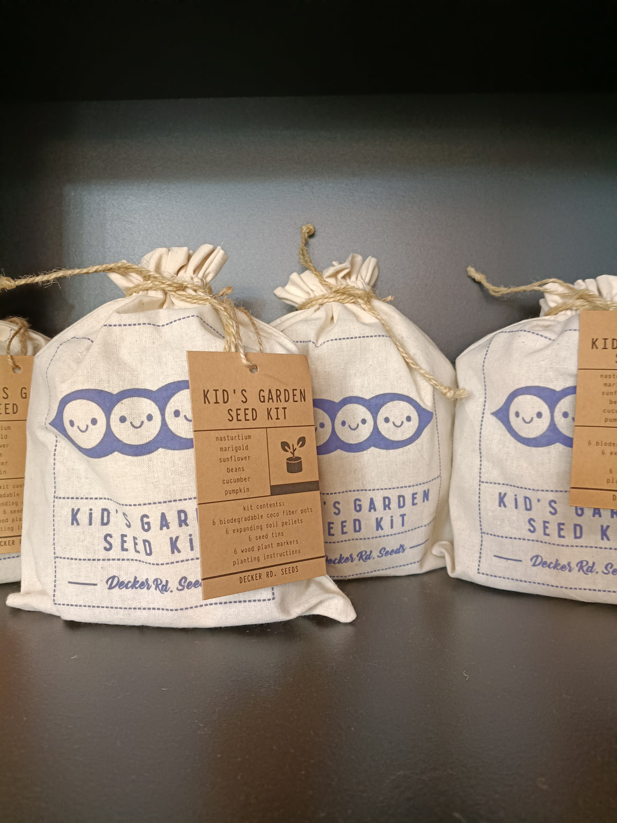 Kid's Garden Seed Kit