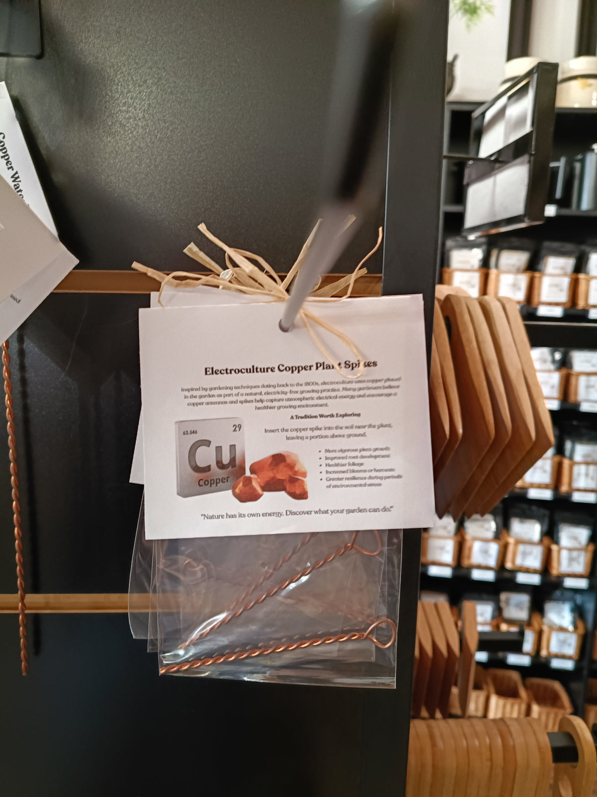 Electroculture Copper Plant Spike